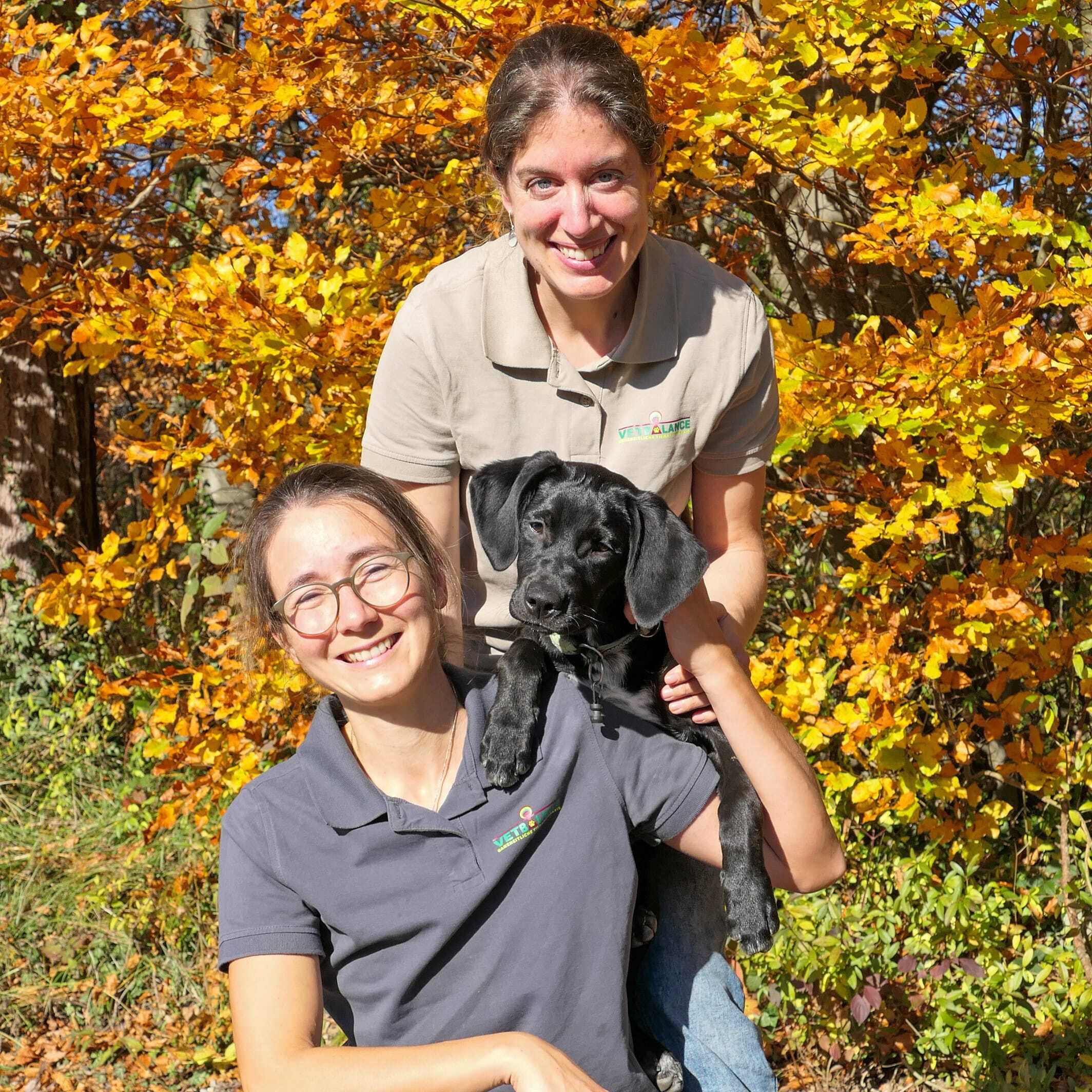 Team VetBalance